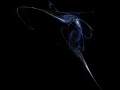 apophysis-120107-40