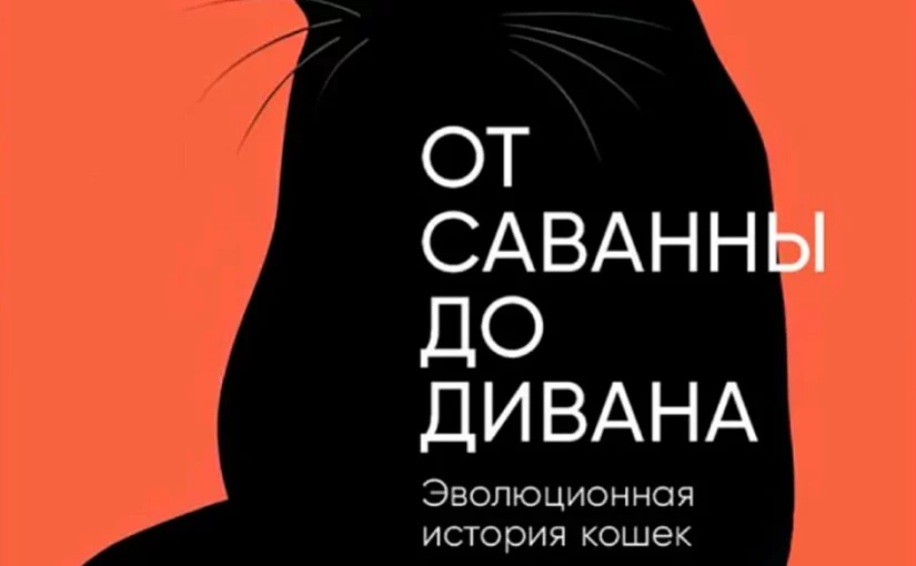 От саванны до дивана