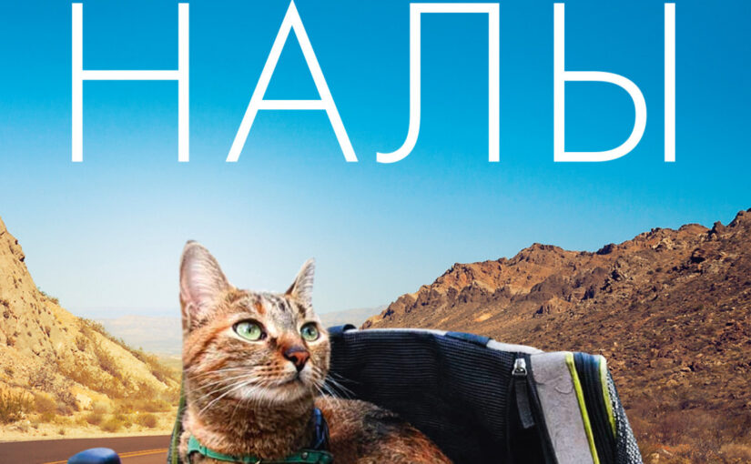 Мир Налы