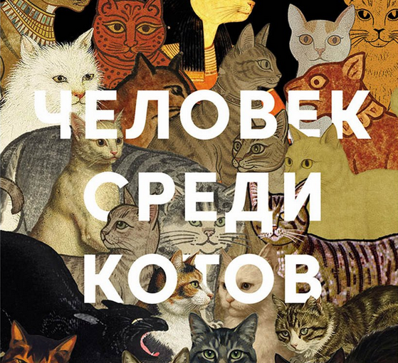 Человек среди котов
